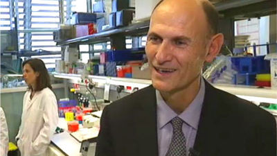 Consiguen generar 'miniriñones' a  partir de células madre humanas