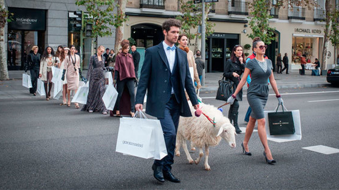 Ovejas "british" en pleno centro de Madrid