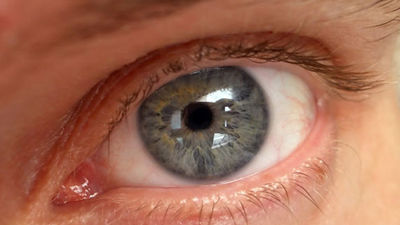 La ONCE colabora en un estudio para identificar los genes causantes del glaucoma