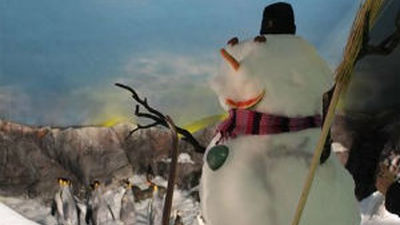 Faunia inaugura los campamentos de Navidad