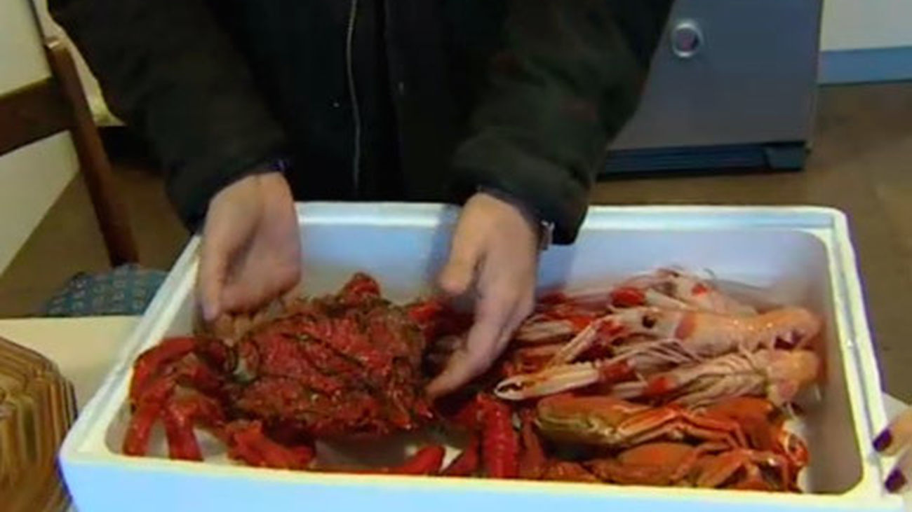 Marisco 'online', la opción + barata