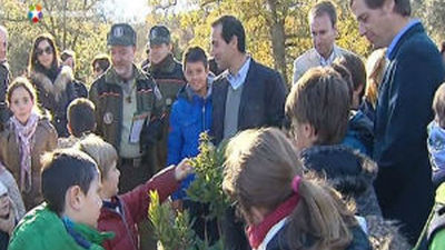 La Comunidad informa sobre el buen uso de los adornos navideños