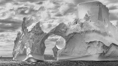 Sebastião Salgado, carta de amor a la Tierra