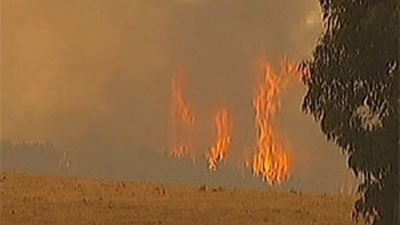 Los incendios empeoran en el este de Australia con llamas de hasta 40 metros