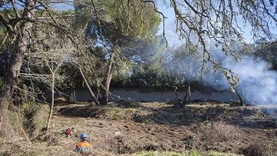 Boadilla crea un nuevo cortafuegos entre el monte y el área de Prado Largo