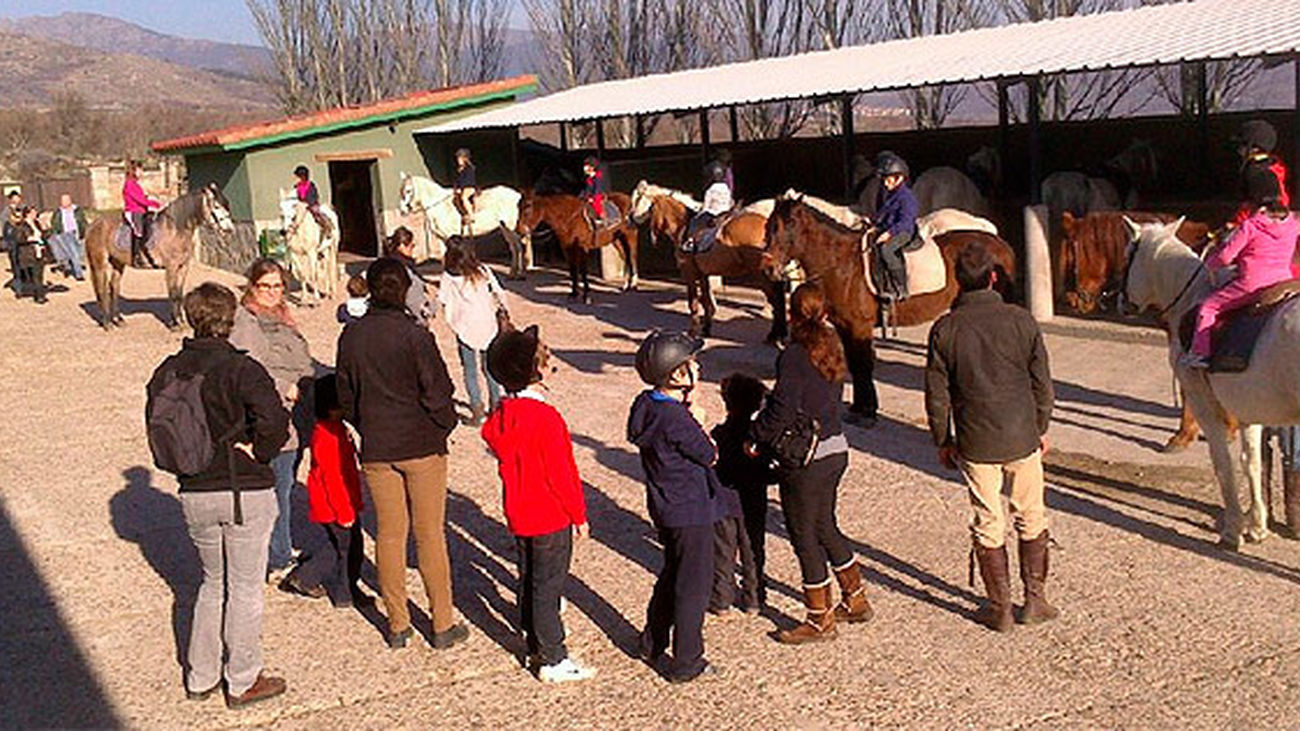 El Aula del Caballo, en Los Molinos, ofrece una entretenida actividad de contacto con la naturaleza