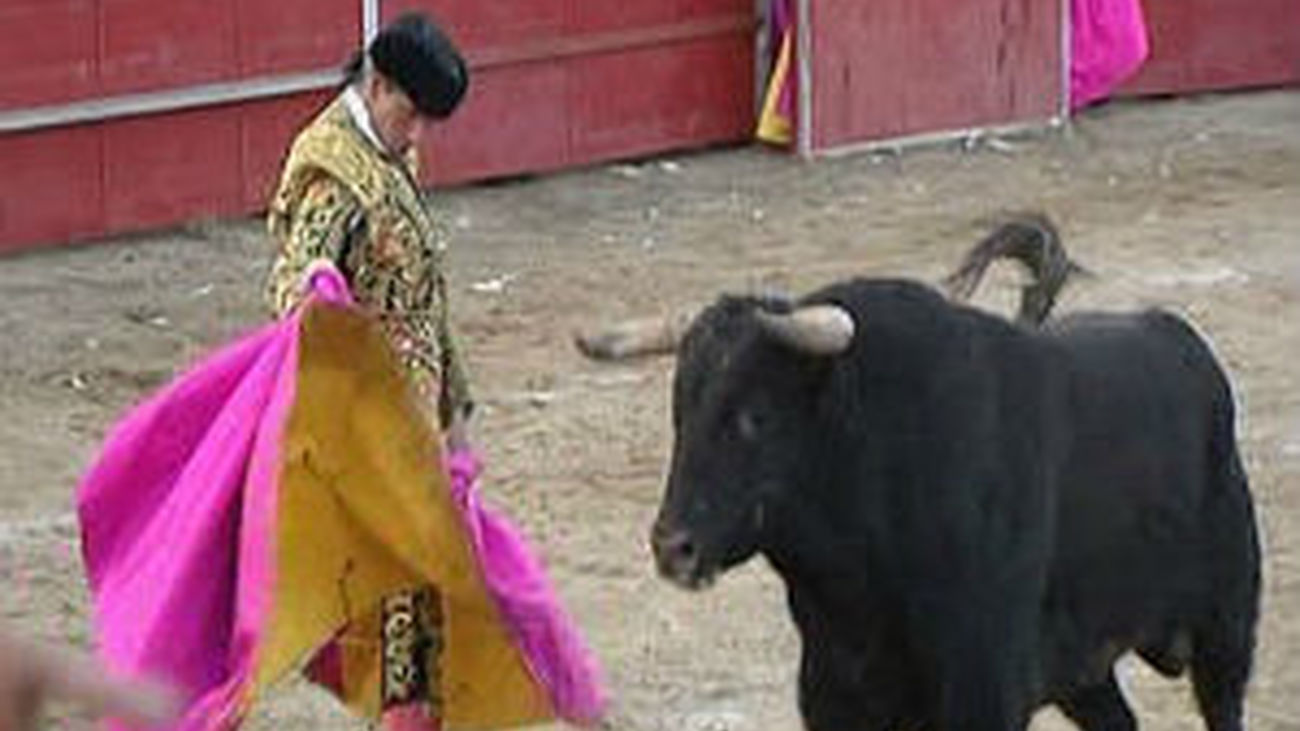 Toros en Ajalvir