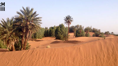 Desierto de Marrakech, atravesando el Sáhara en un todoterreno