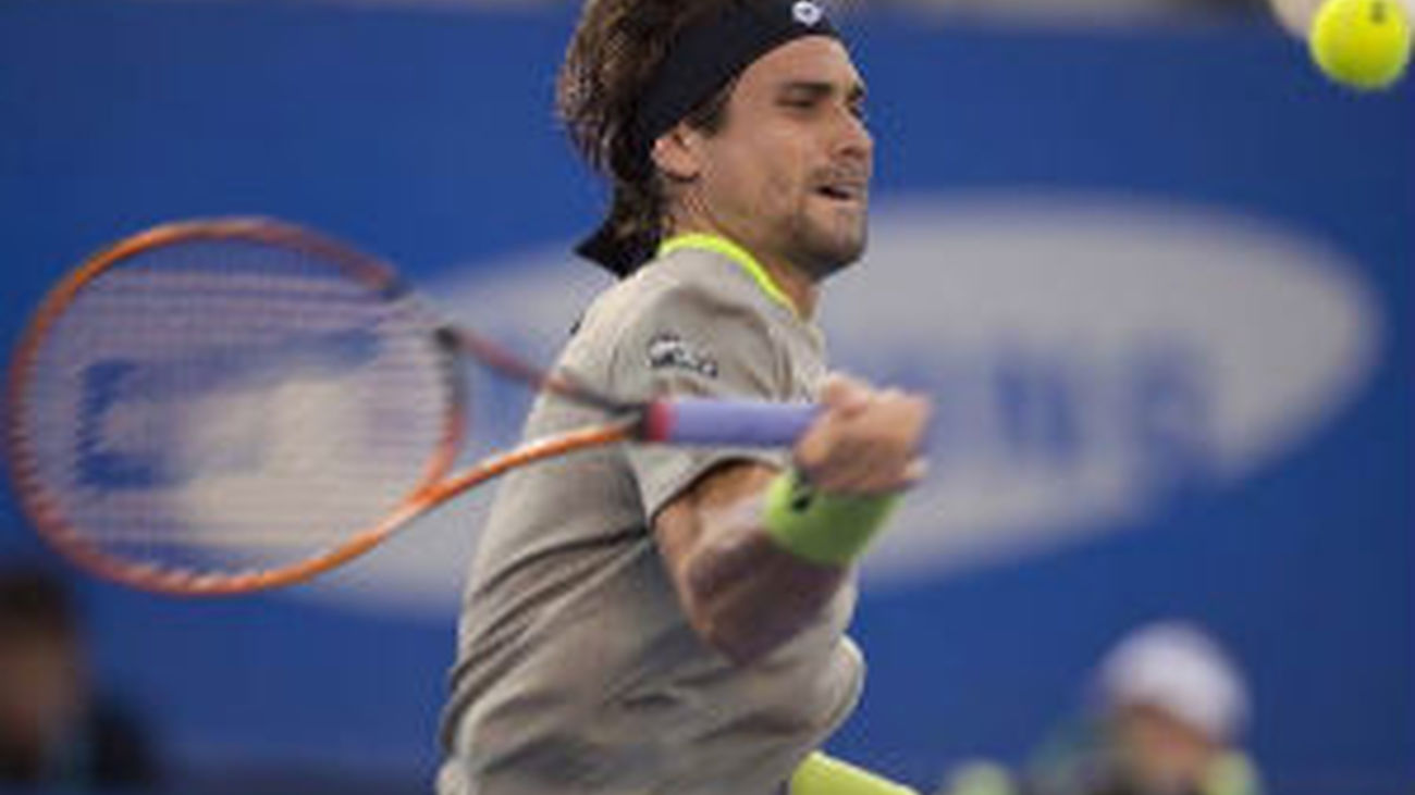 David Ferrer