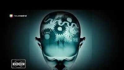 El test de la verdad