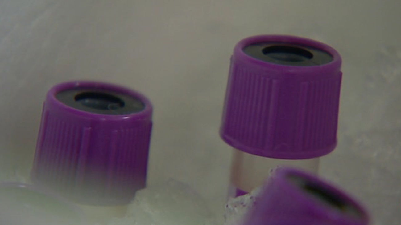 analisis_sangre_investigacion