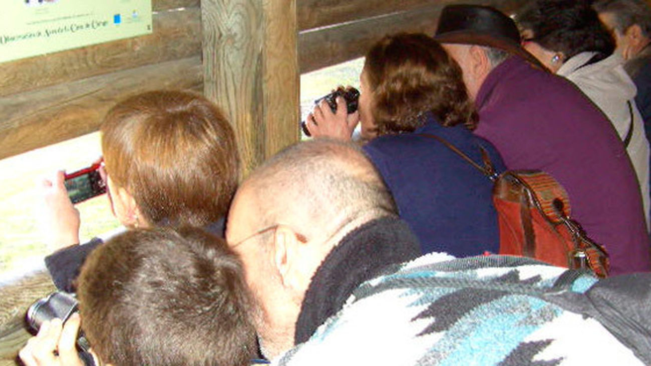 Taller de observación de aves