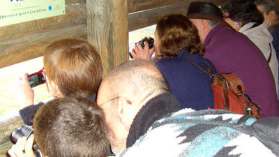 Bichos, bichos, bichos