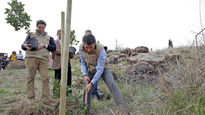 La zona del incendio de Robledo se reforestará con 260.000 árboles