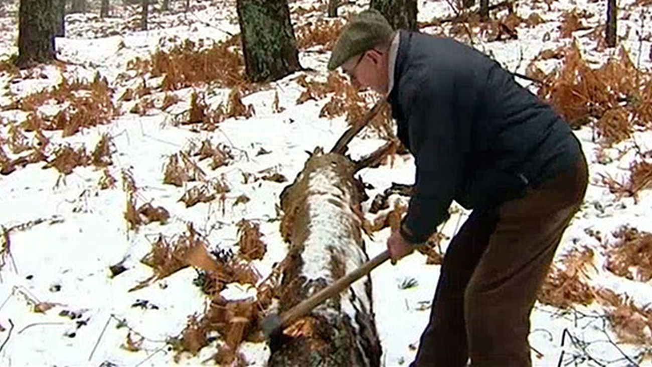 Cercedilla: Antonio el gabarrero