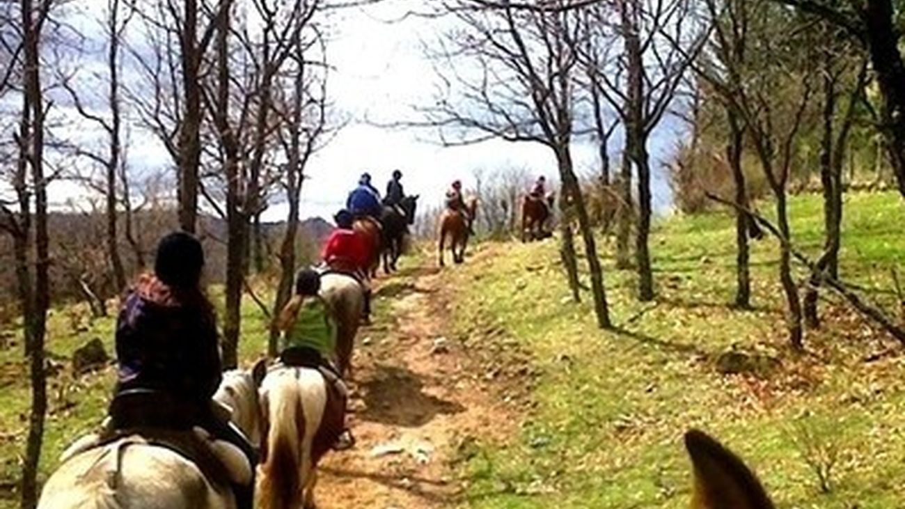 Cercedilla: Centro Hípico Los Ciruelos