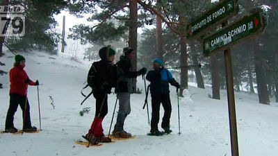 Cercedilla: La senda Schmidt