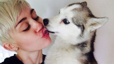 Miley Cyrus vive "el segundo peor día de su vida" por la muerte de su perro