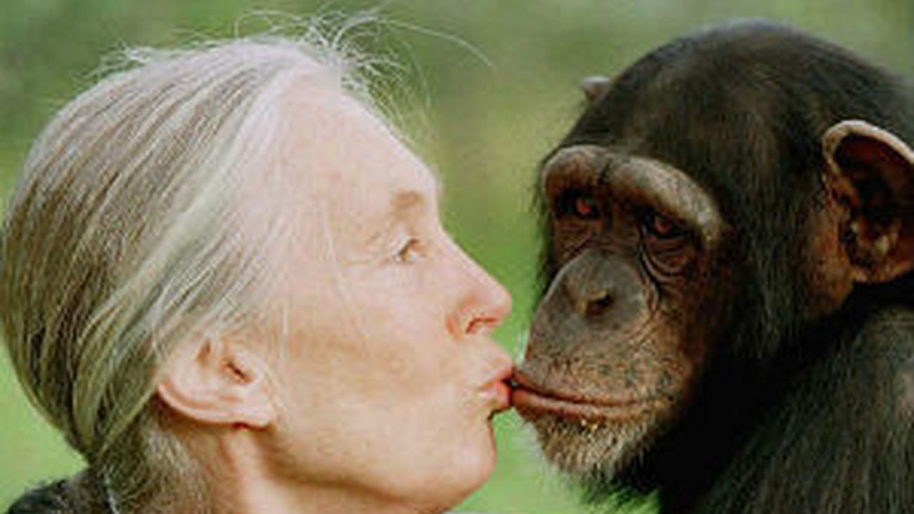 Jane Goodall, en su 80 cumpleaños: "Me jubilaré cuando el planeta esté a salvo"