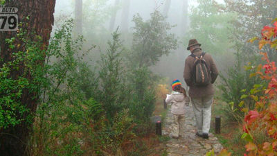 El Escorial y San Lorenzo: Arboreto Luis Ceballos