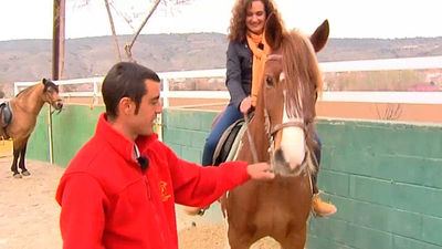 Tielmes y Carabaña: Un gimnasio para caballos