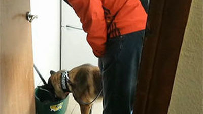 Detenido un rumano por el asesinato del hombre hallado descuartizado en Las Rozas