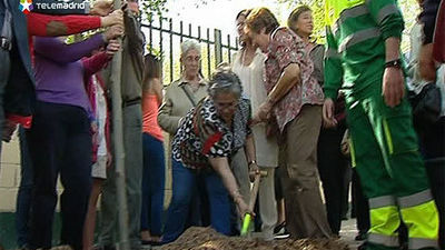 Personas con discapacidad replantan árboles en San Blas
