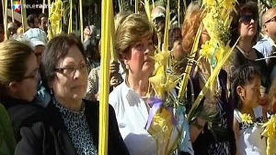 Miles de palmas, brillantemente confeccionadas recorren el centro de Elche