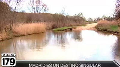 Camarma, Daganzo y Meco: Aves a vista de objetivo