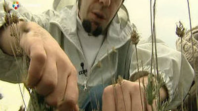 La cocina de Montia recoge la mejor materia prima de la región