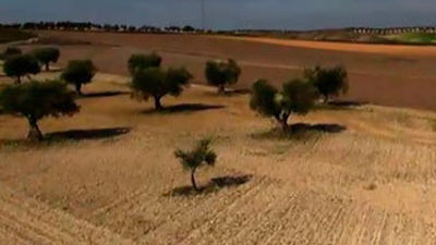 Titulcia y Villaconejos: El barranco Villacabras
