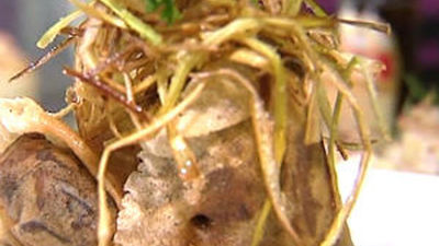 Alcorcón acoge la IV ruta de la tapa