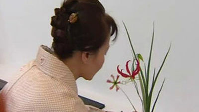 Aprender Ikebana, el arte floral japonés, en el Botánico
