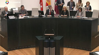 Cáritas y Del Bosque serán de Medallas de Madrid por unanimidad