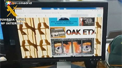 Detenidas 21 personas por enaltecimiento del terrorismo en Internet