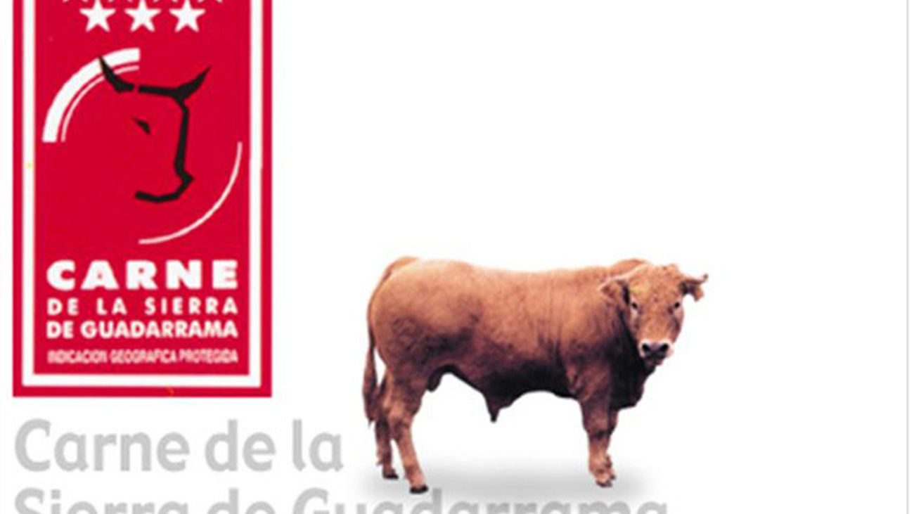 SIERRA_GUADARRAMA_217