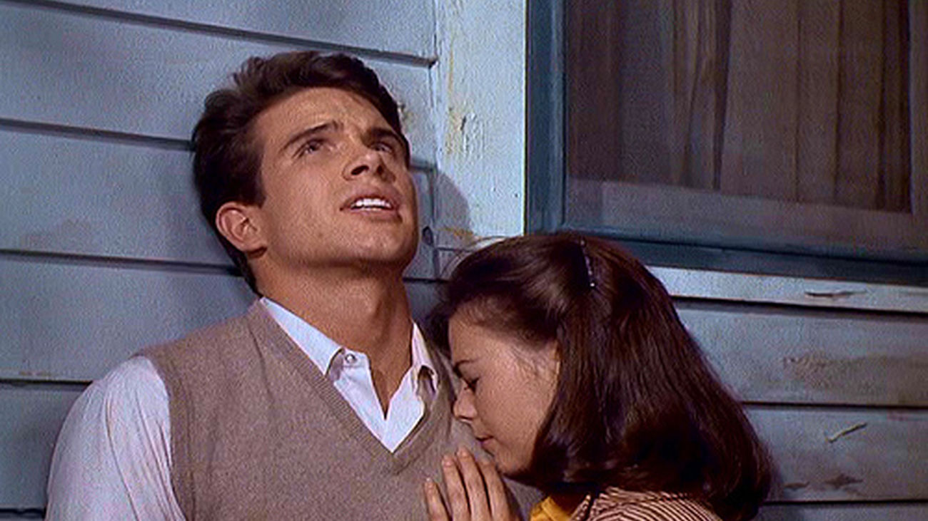 Esplendor en la hierba