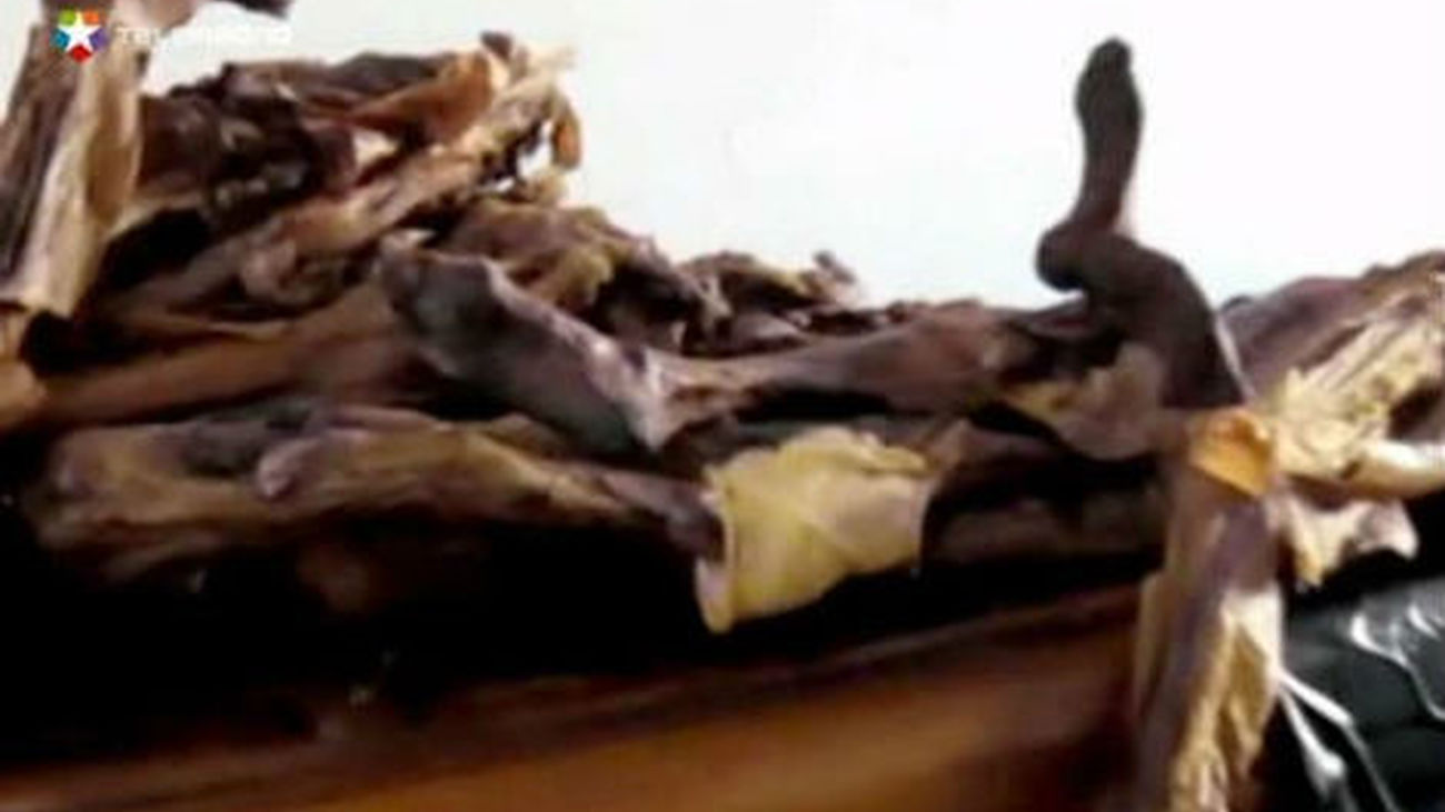 La Complutense destituye al responsable del hacinamiento de los cadáveres