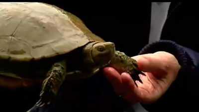 Colmenar Viejo y Tres Cantos: Centro de recuperación de animales silvestres