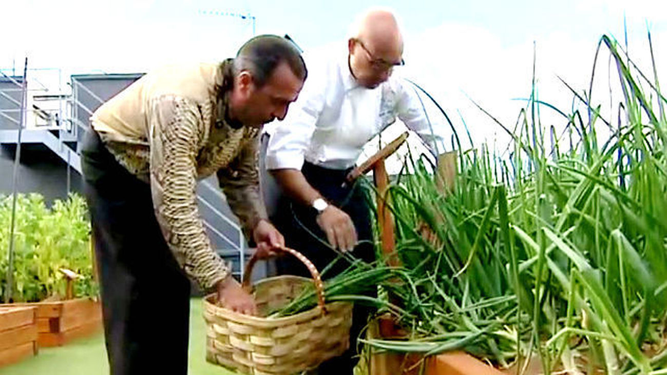 El huerto del Hotel Welligton