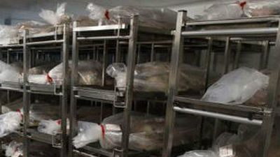 La Fiscalía investigará si hay delito en la acumulación de cadáveres en la Complutense