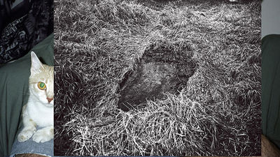 El museo Lázaro Galdiano acoge 'Mapping the Blind Spots'