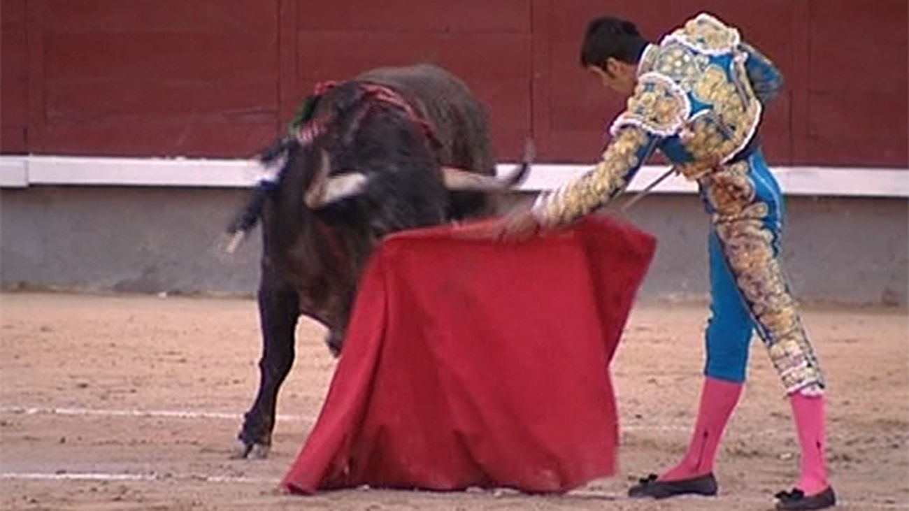 toros_567