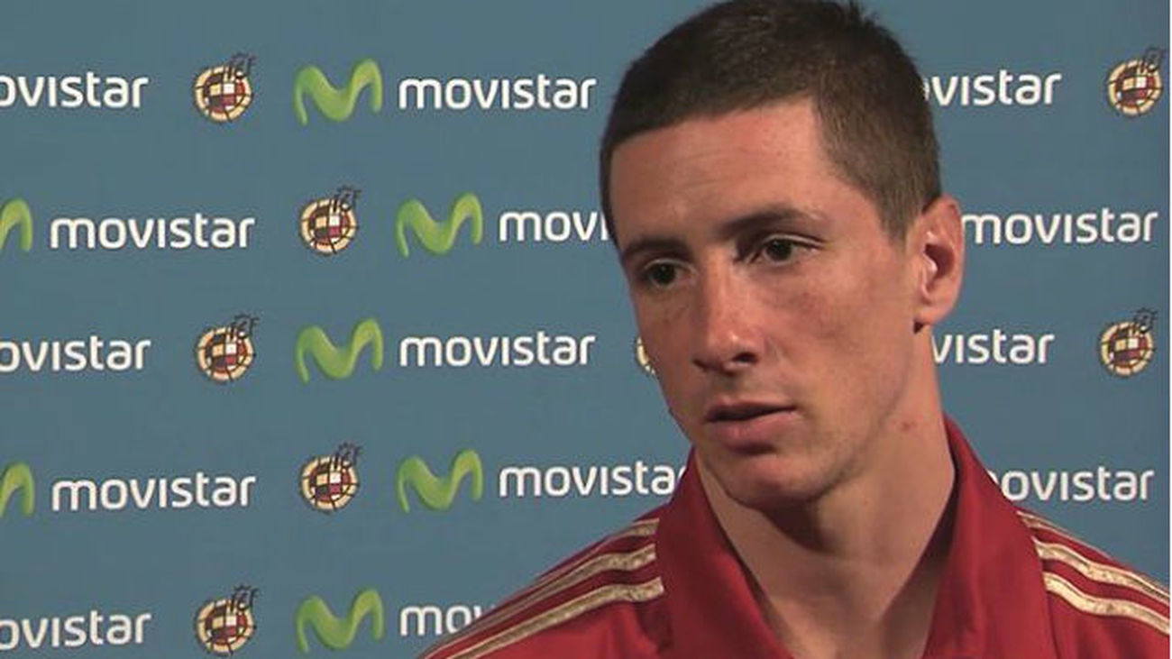 Fernando Torres, Selección Española