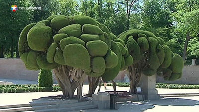 Ana Botella invita a disfrutar y cuidar las zonas verdes de Madrid