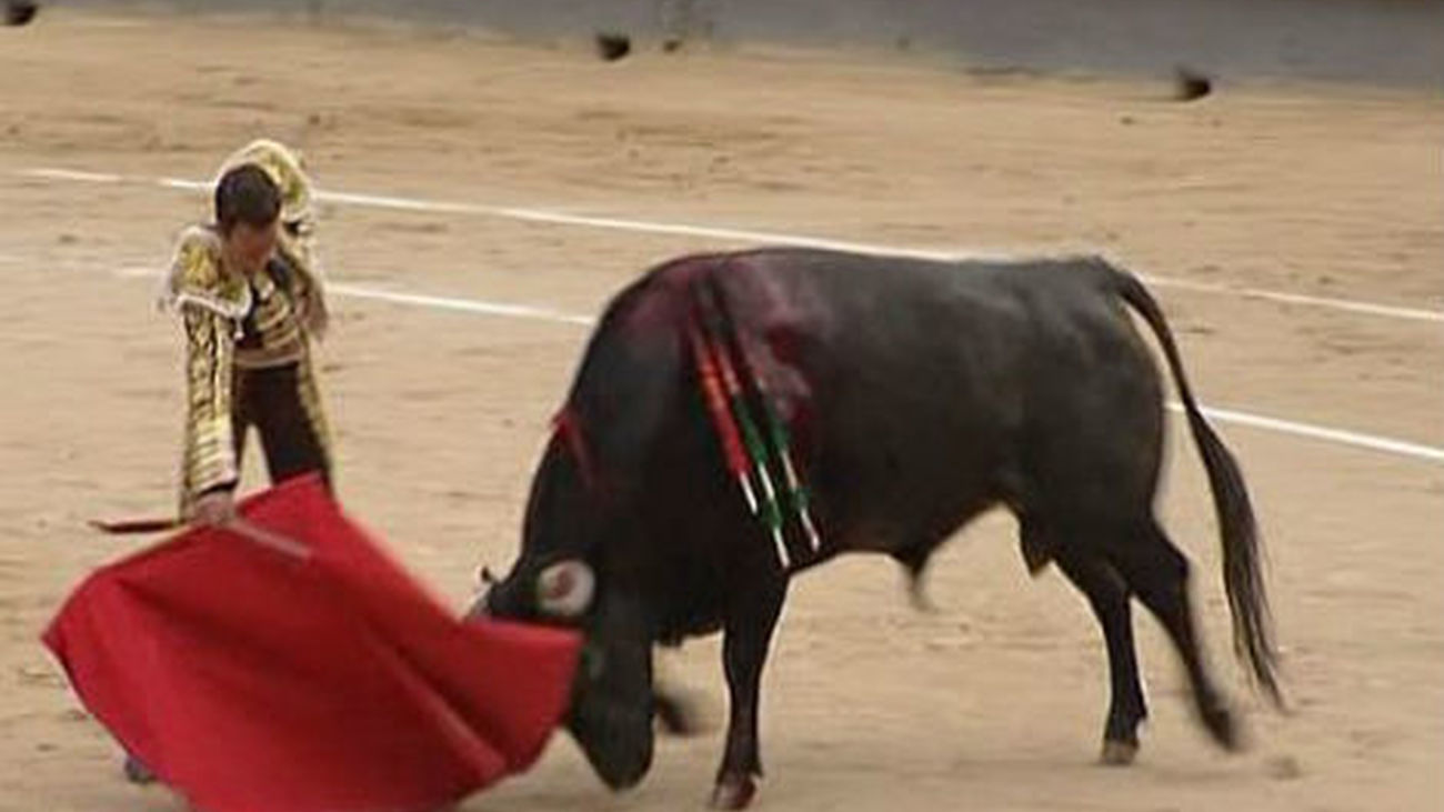 Toros de Victorino Martín