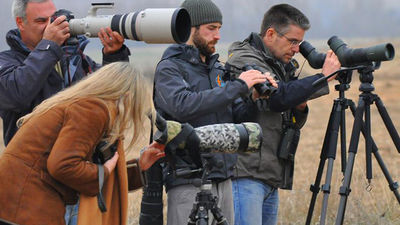 MadBird Race: la primera competición madrileña de observación de aves