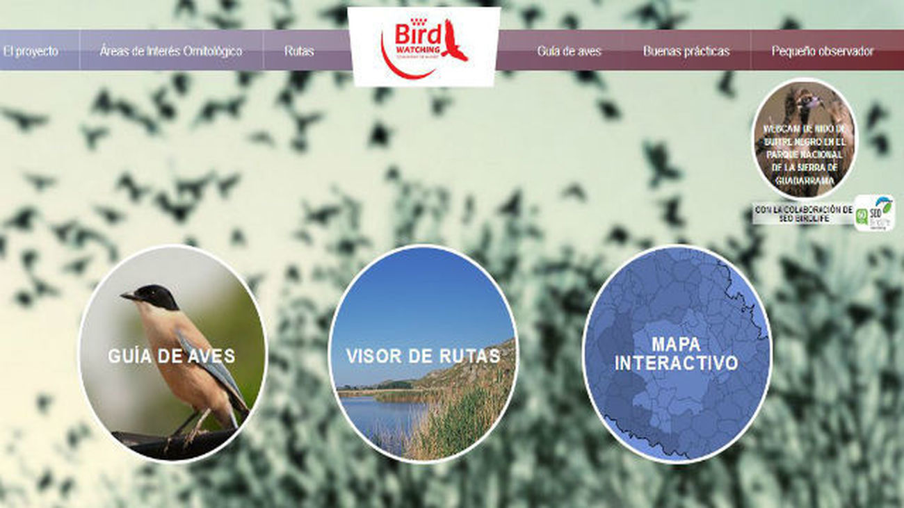 Una página web informa sobre las aves y las rutas para avistarlas en Madrid