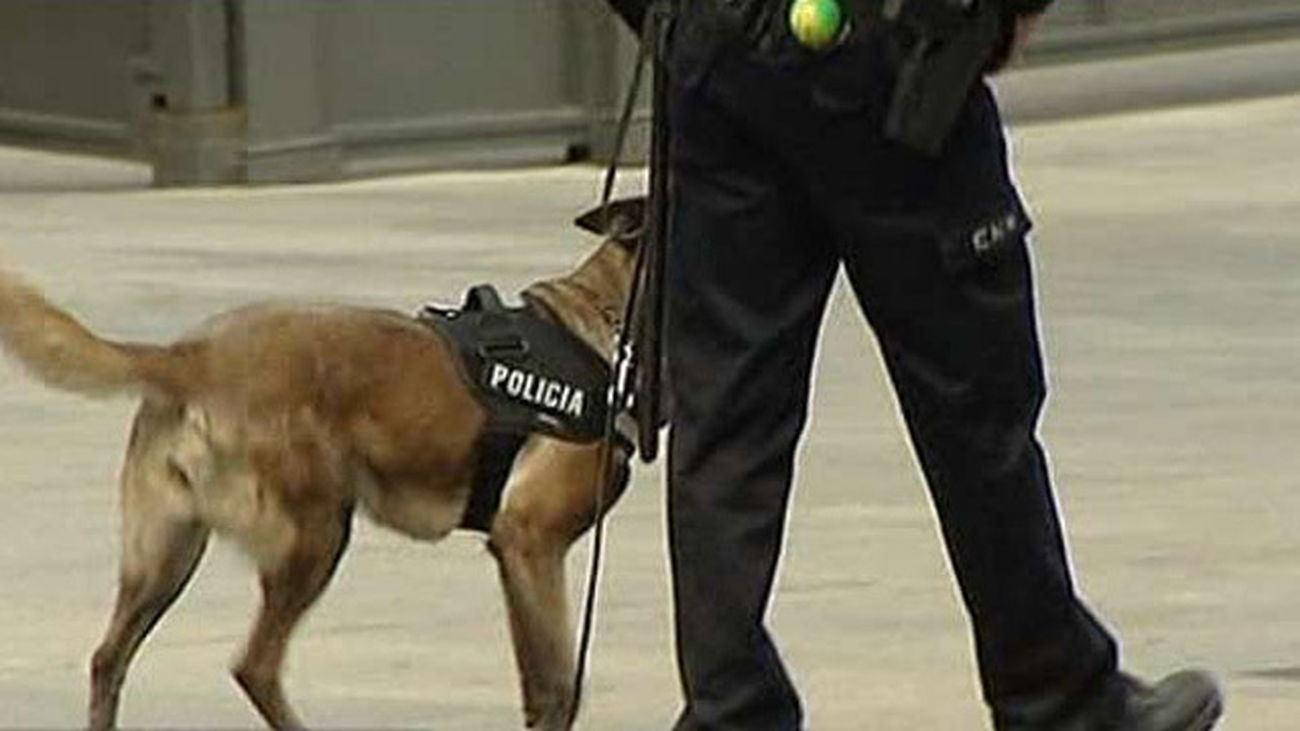 Casi 7.000 agentes para la seguridad de actos de la proclamación de Felipe VI