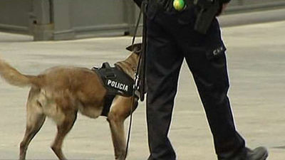 Casi 7.000 agentes para la seguridad de actos de la proclamación de Felipe VI